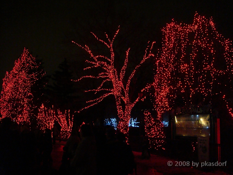 112 Toledo Zoo Light Show [2008 Dec 27].JPG - Scenes from the Toledo Zoo Light Show.